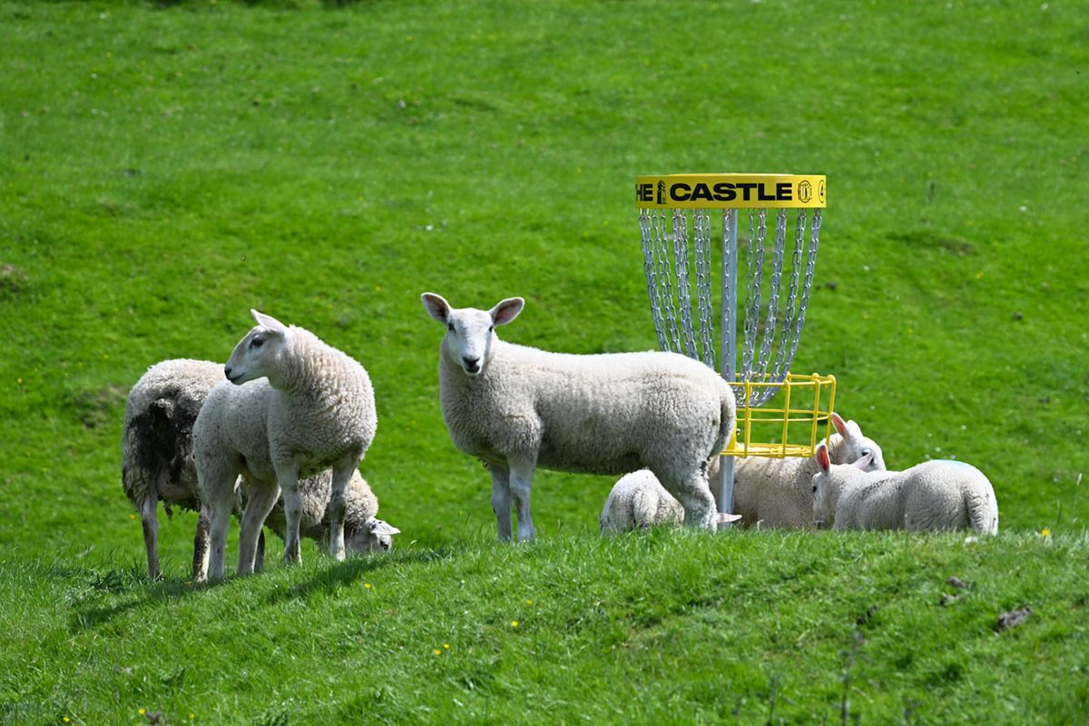 Course photo