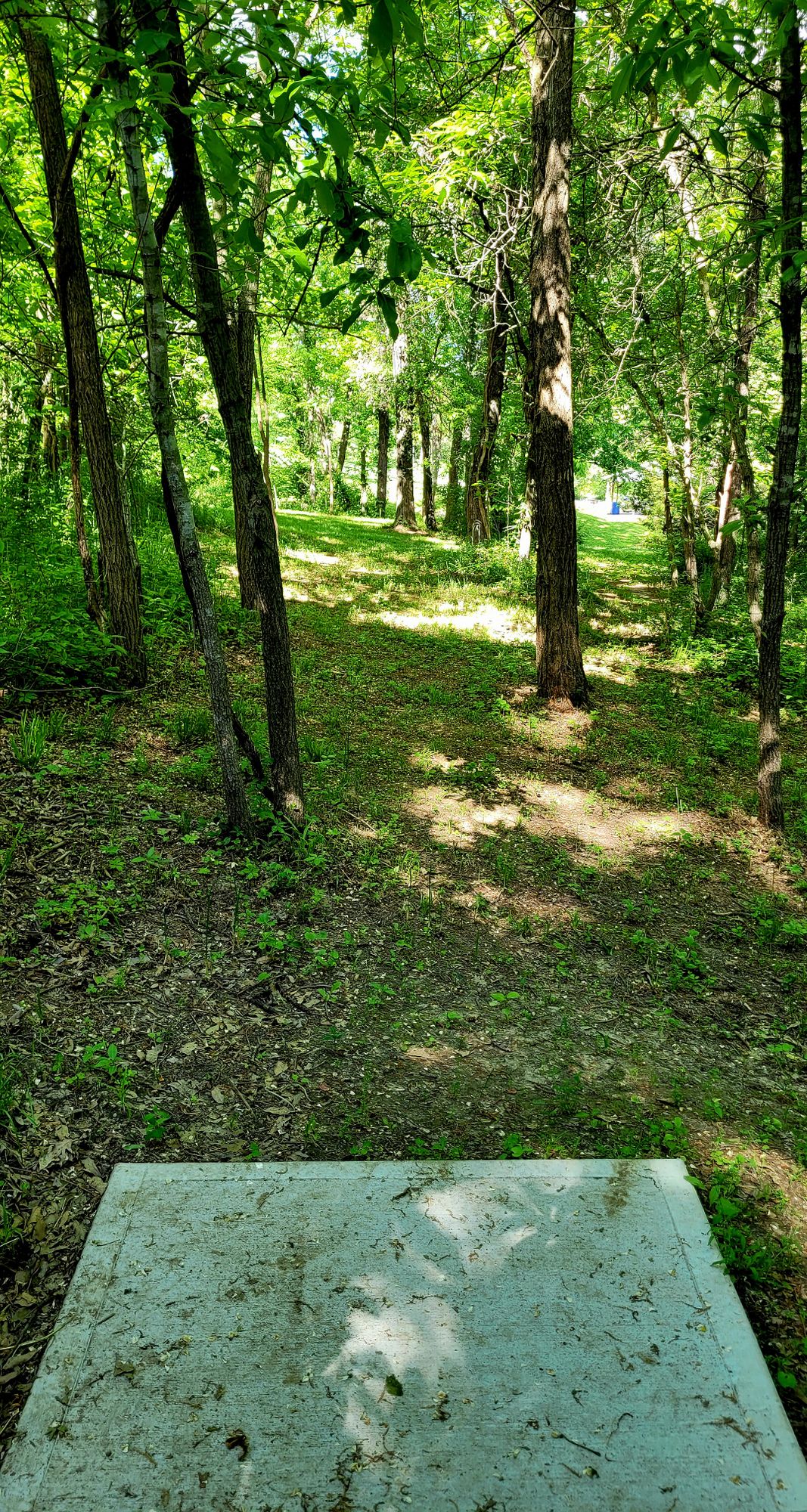 Hole 4