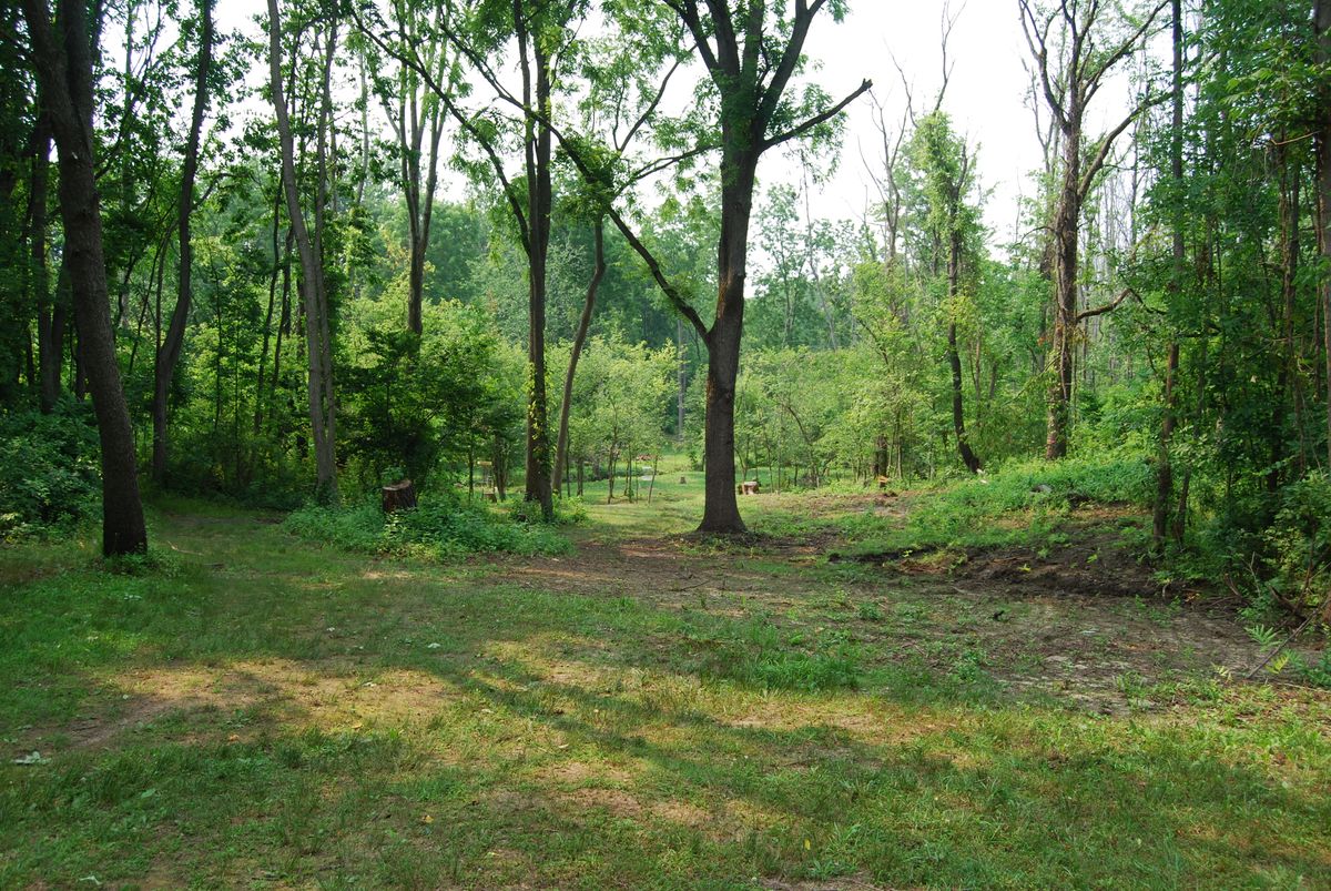 Hole 7 view from turn in fairway, looking down at long pin position