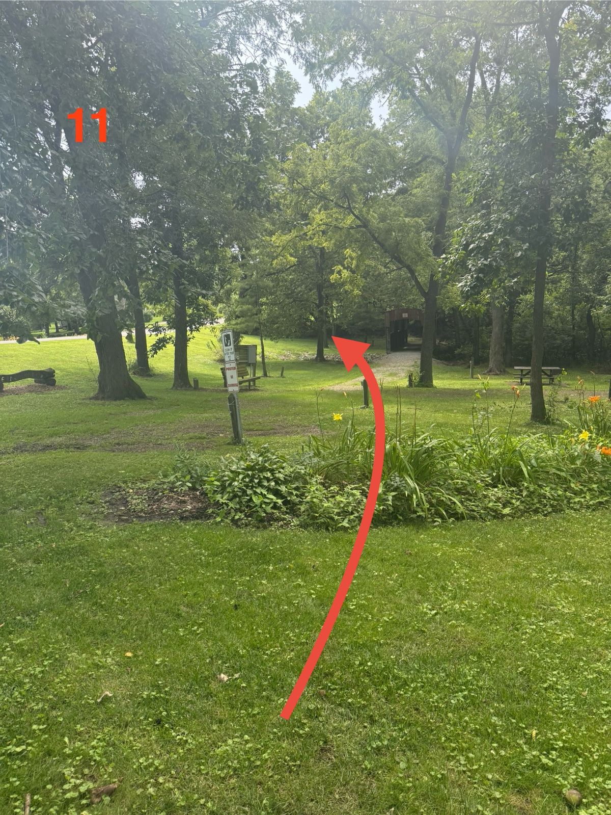 Straight shot crossing stream with landing zone