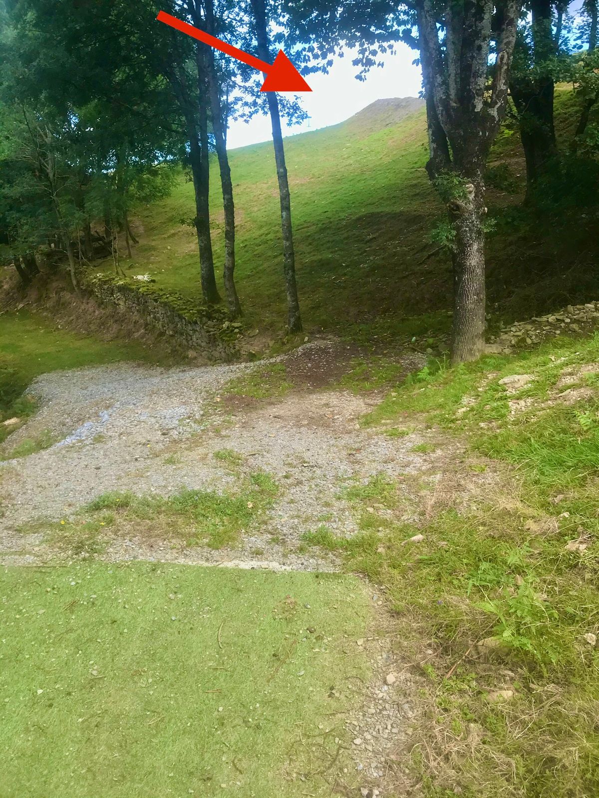 #11 tee - through trees, and just over top of the hill