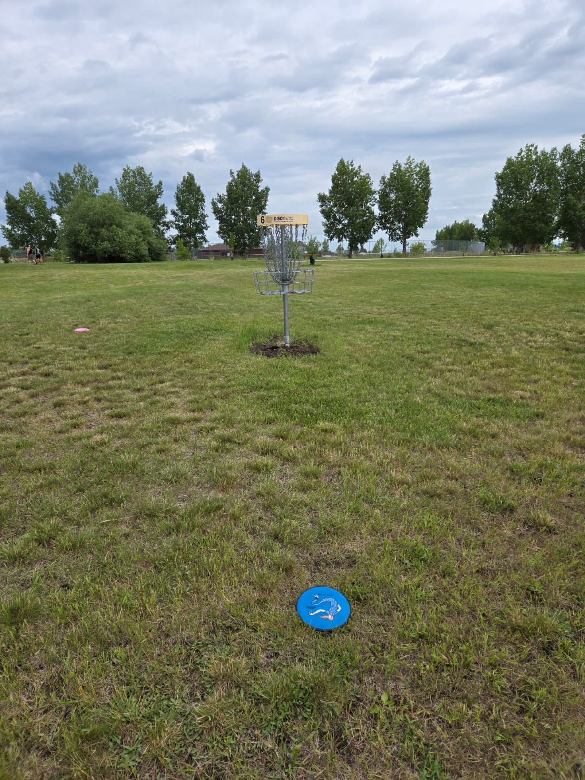 Hole 6