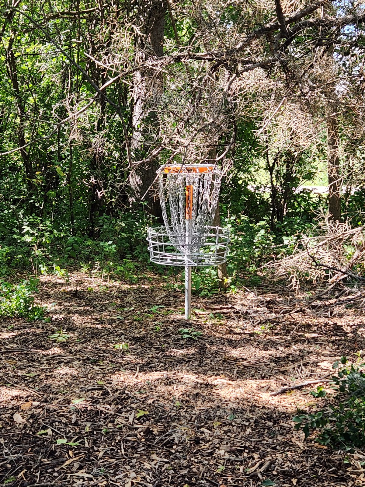 Sep. '24 hole 14s basket