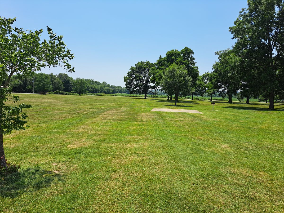 Beautiful lawn