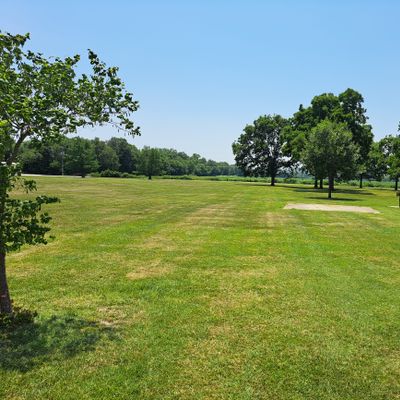 Beautiful lawn
