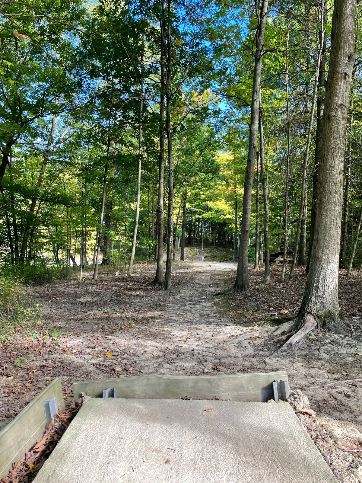 6 long tee
