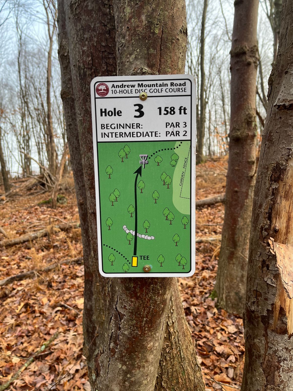 Hole 3