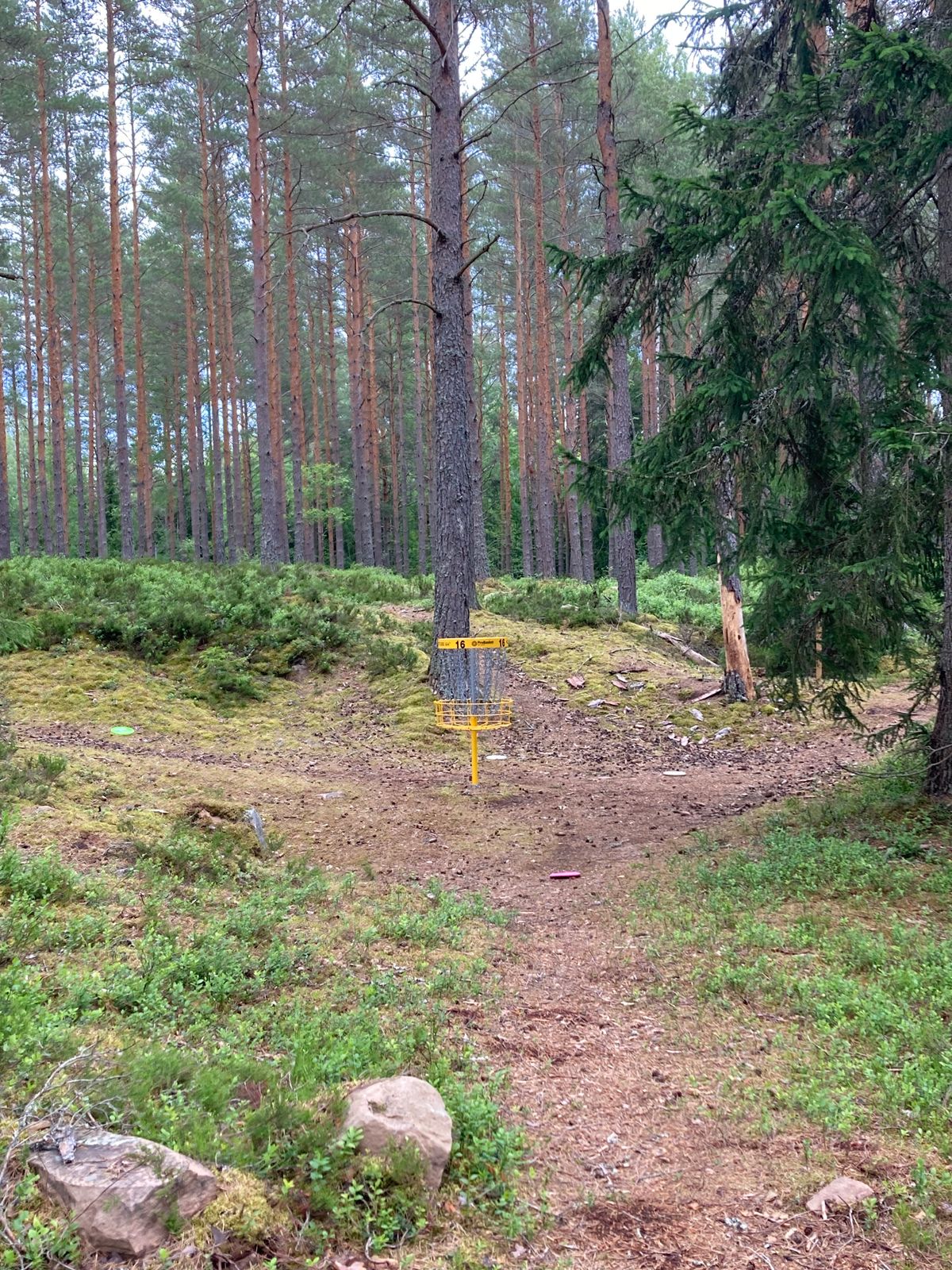 Green hål 16