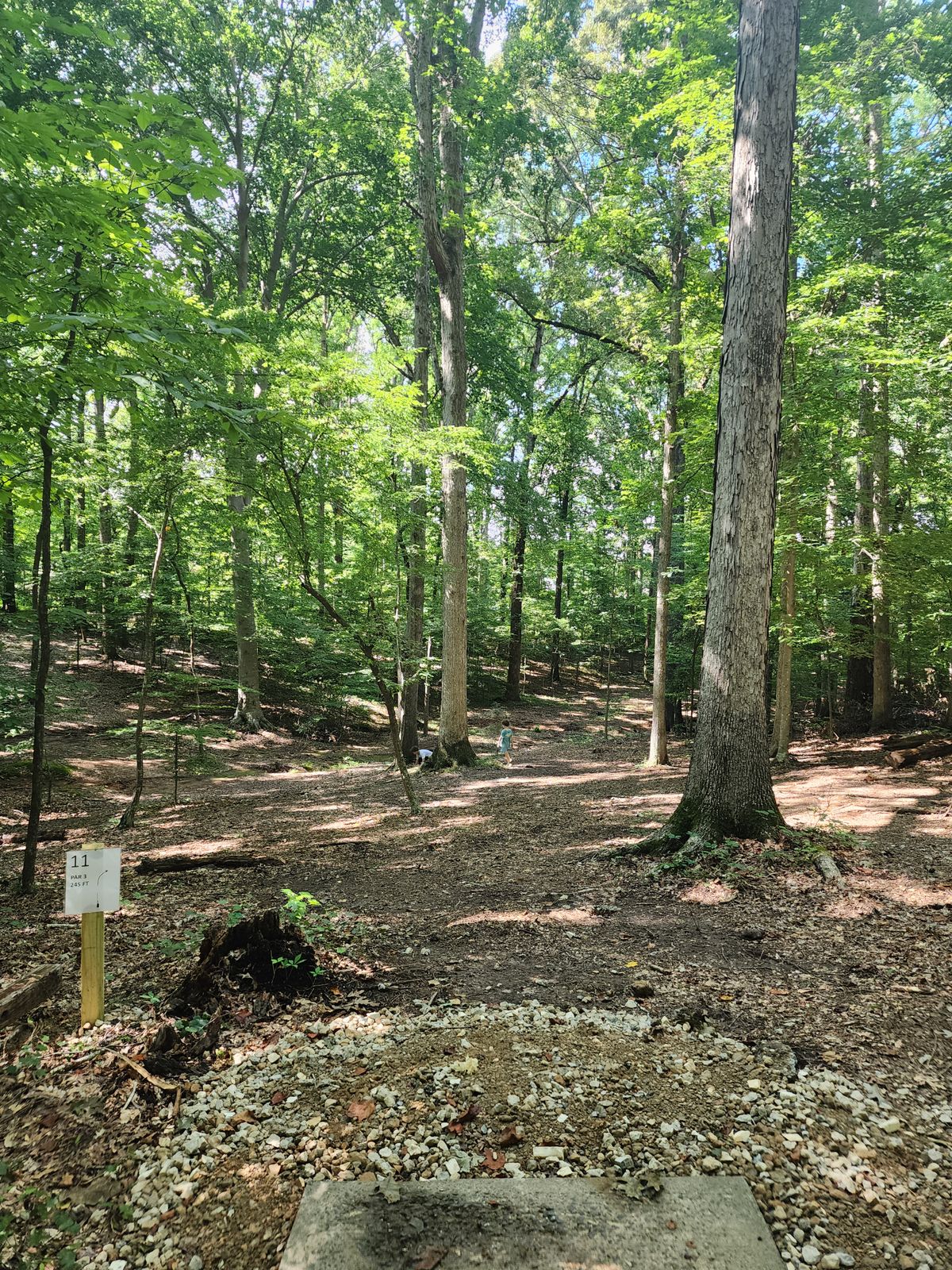 Hole 11 tee