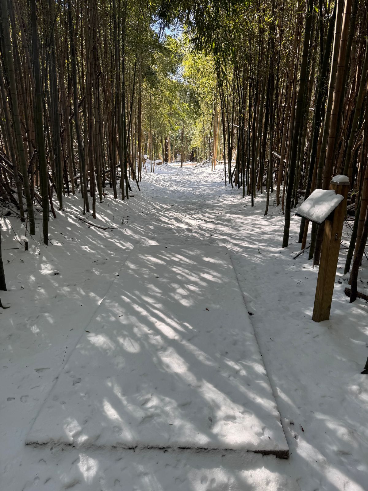 2025 hole 13 Snow