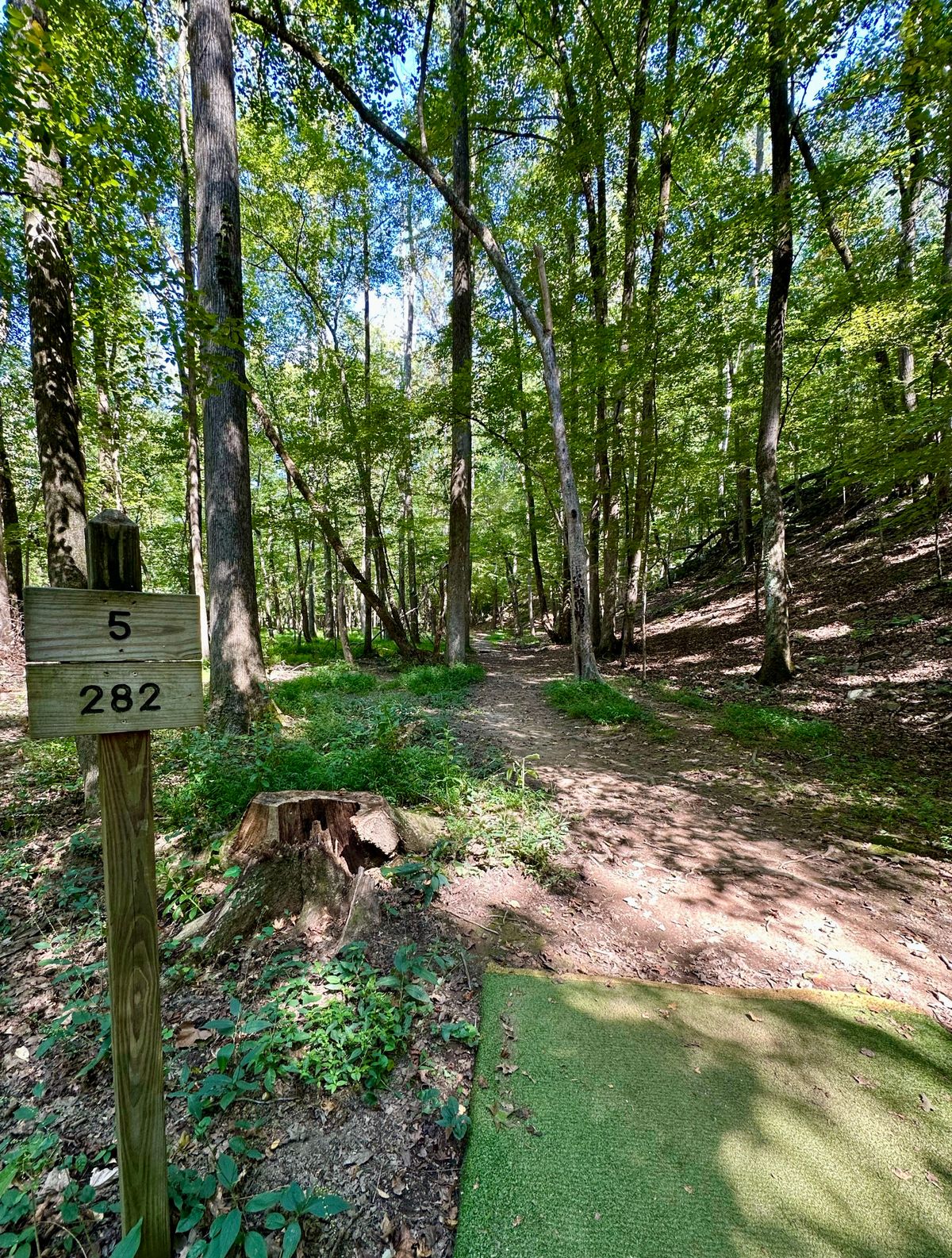 Hole 5