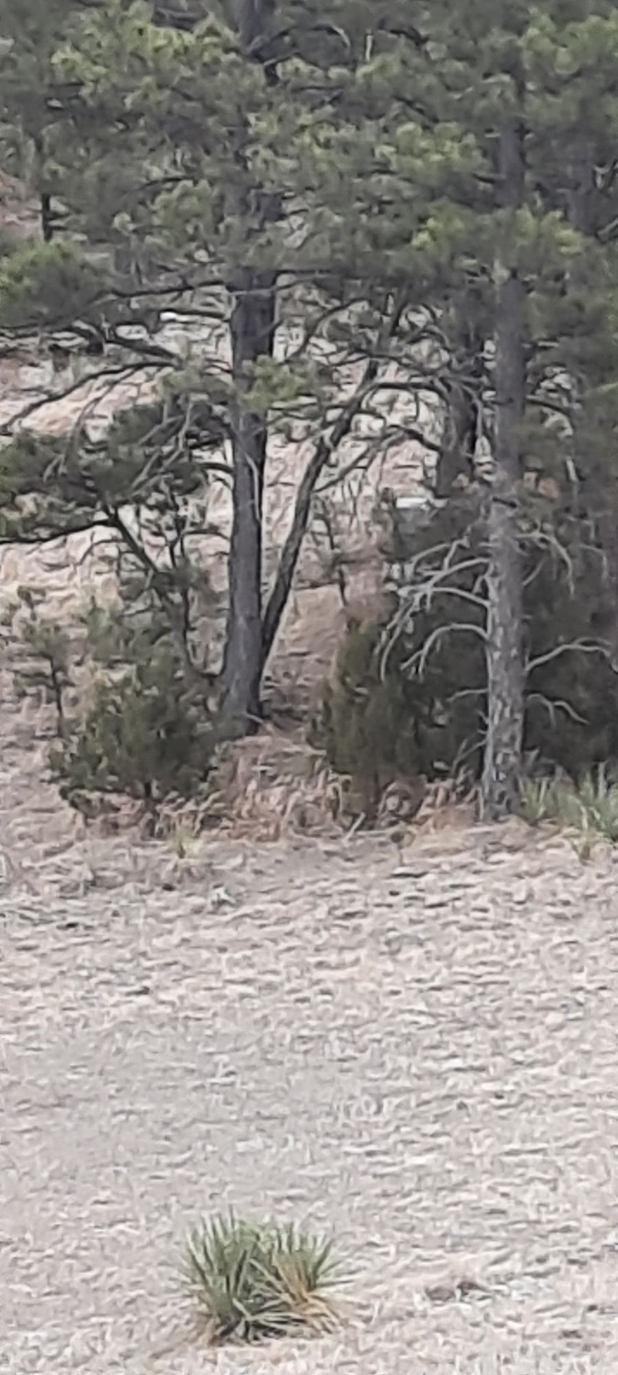Hole 5 from tee