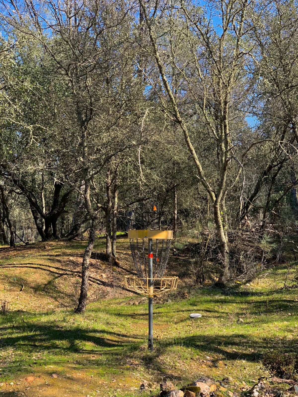 Hole 4.