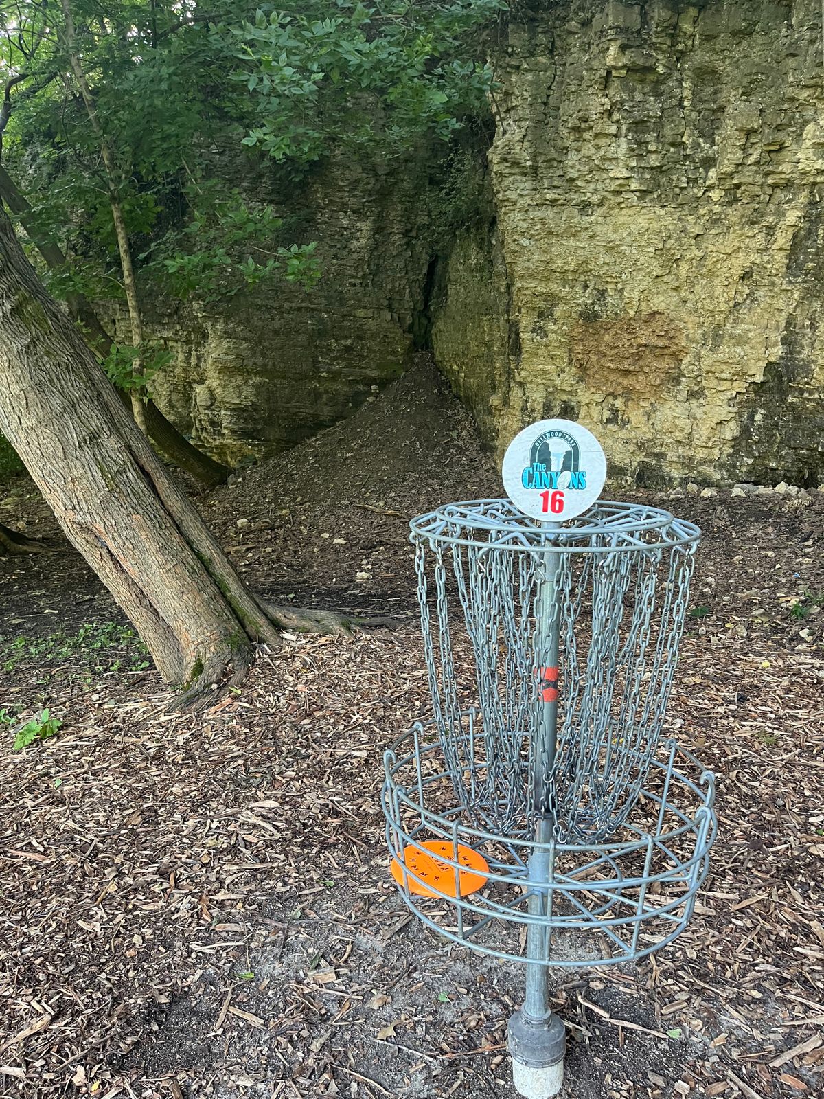 16 basket with Luna safely in
