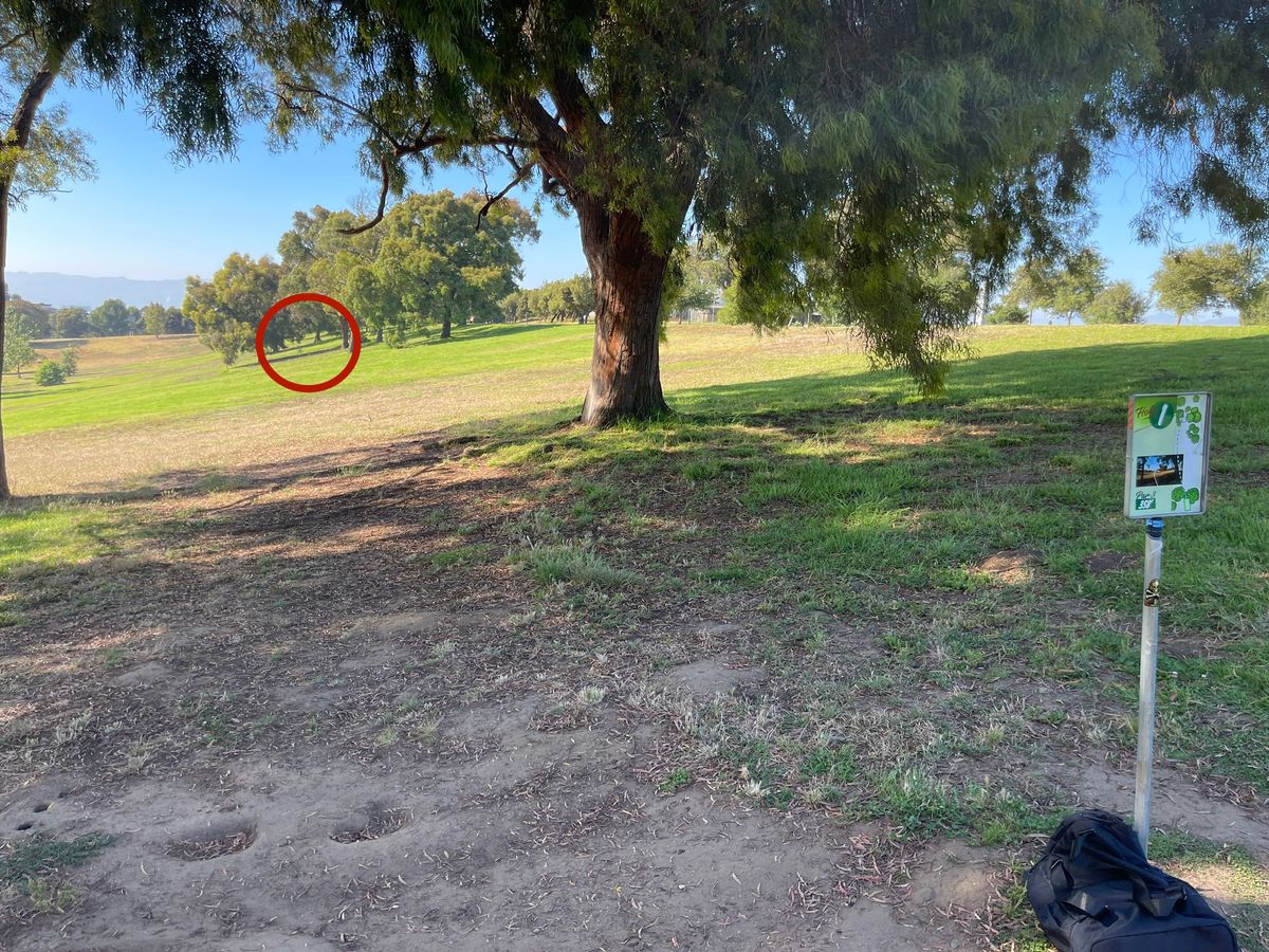 Hole 1 basket visible.