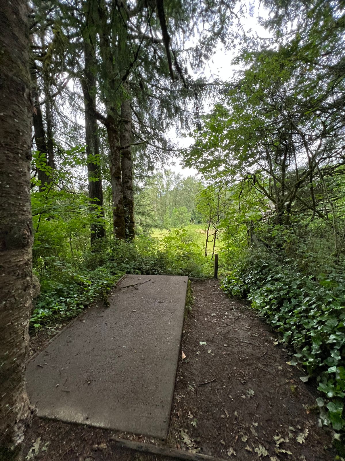 Hole 3 tee box