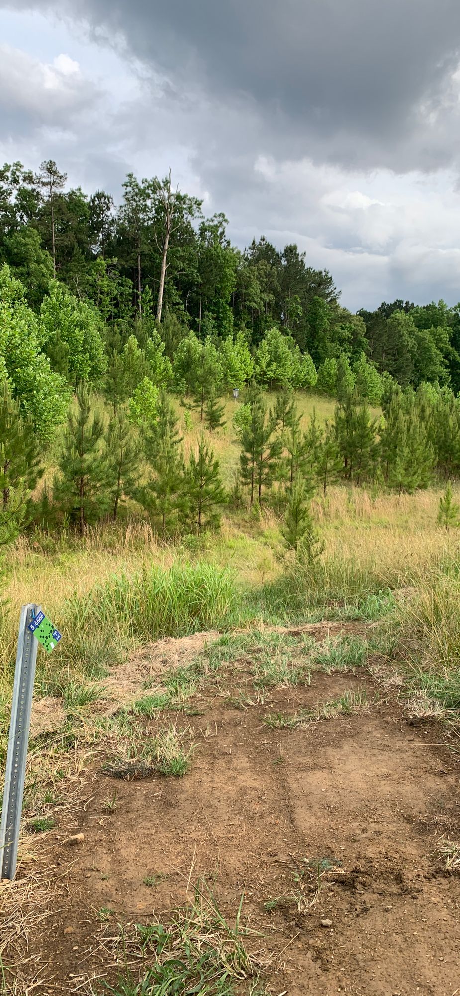 Hole 5