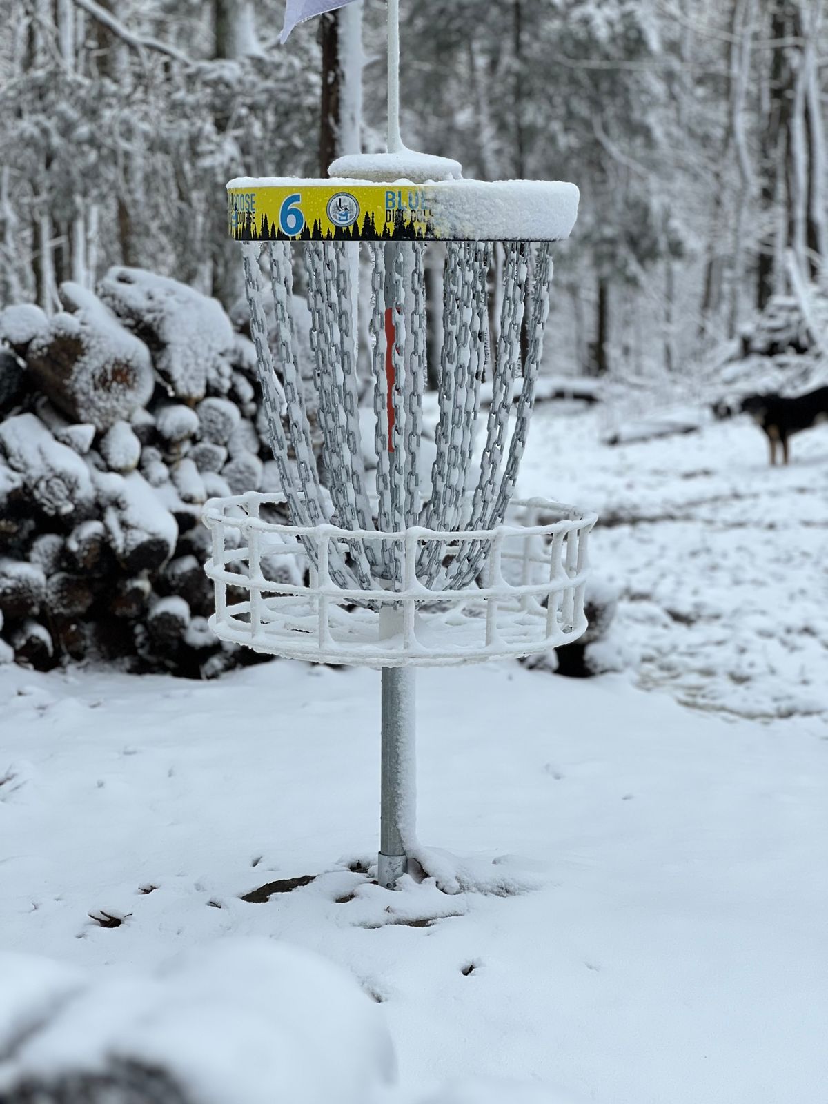 Winter 2025