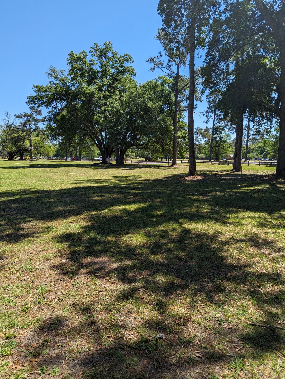Hole 3 Greens