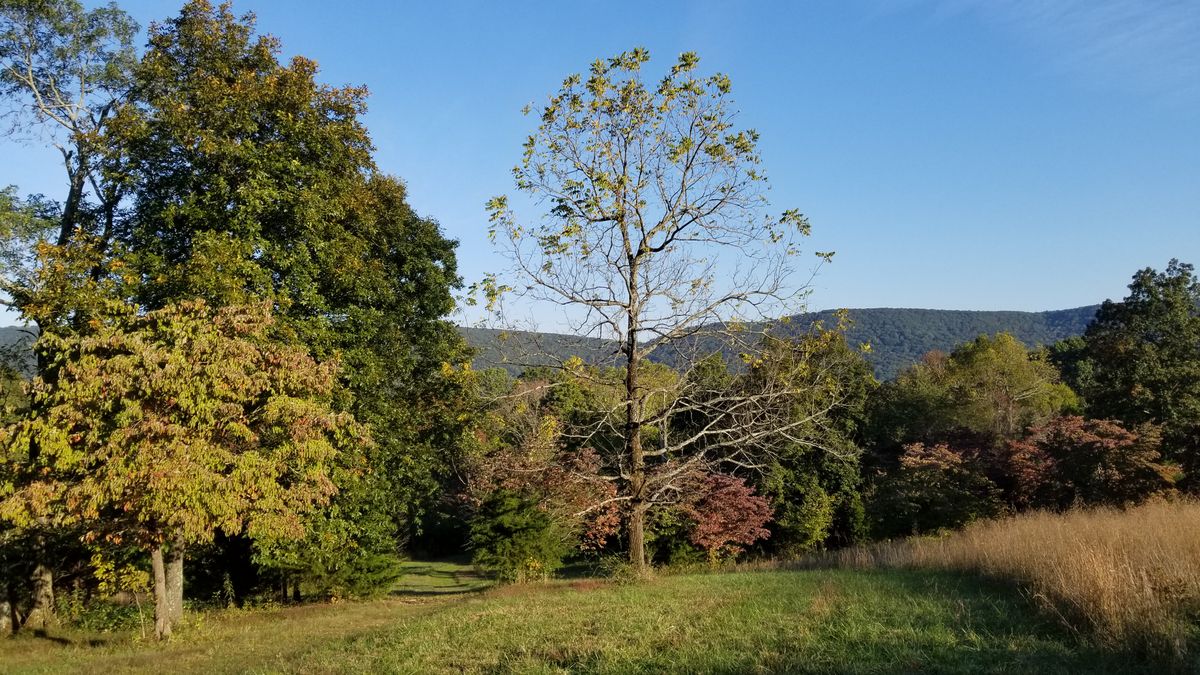 Signature hole 15 fairway