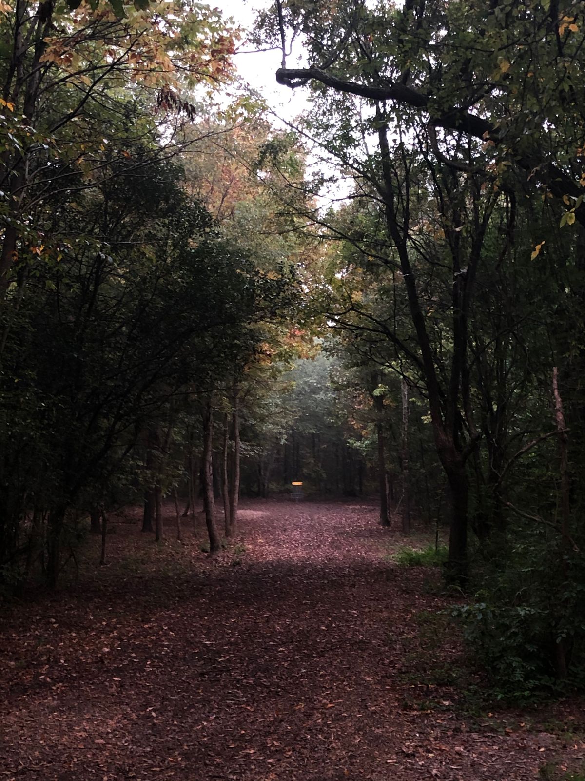 Current Hole 1