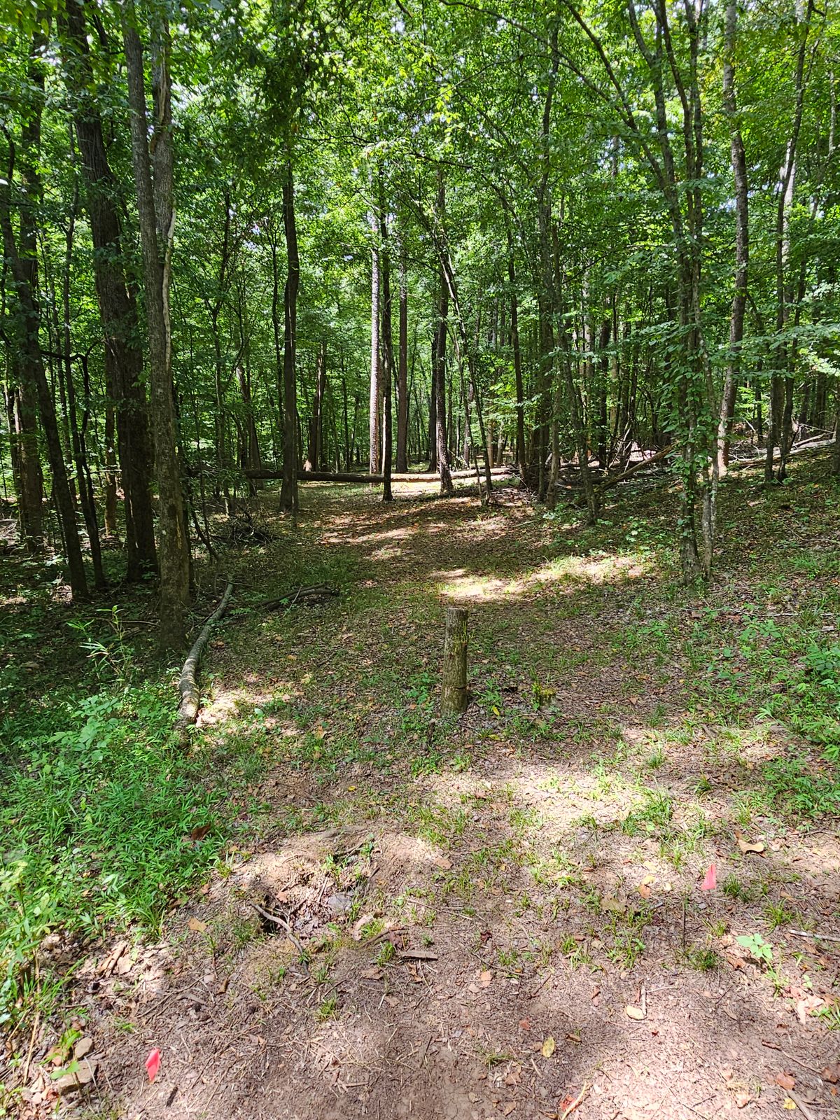 Hole 7