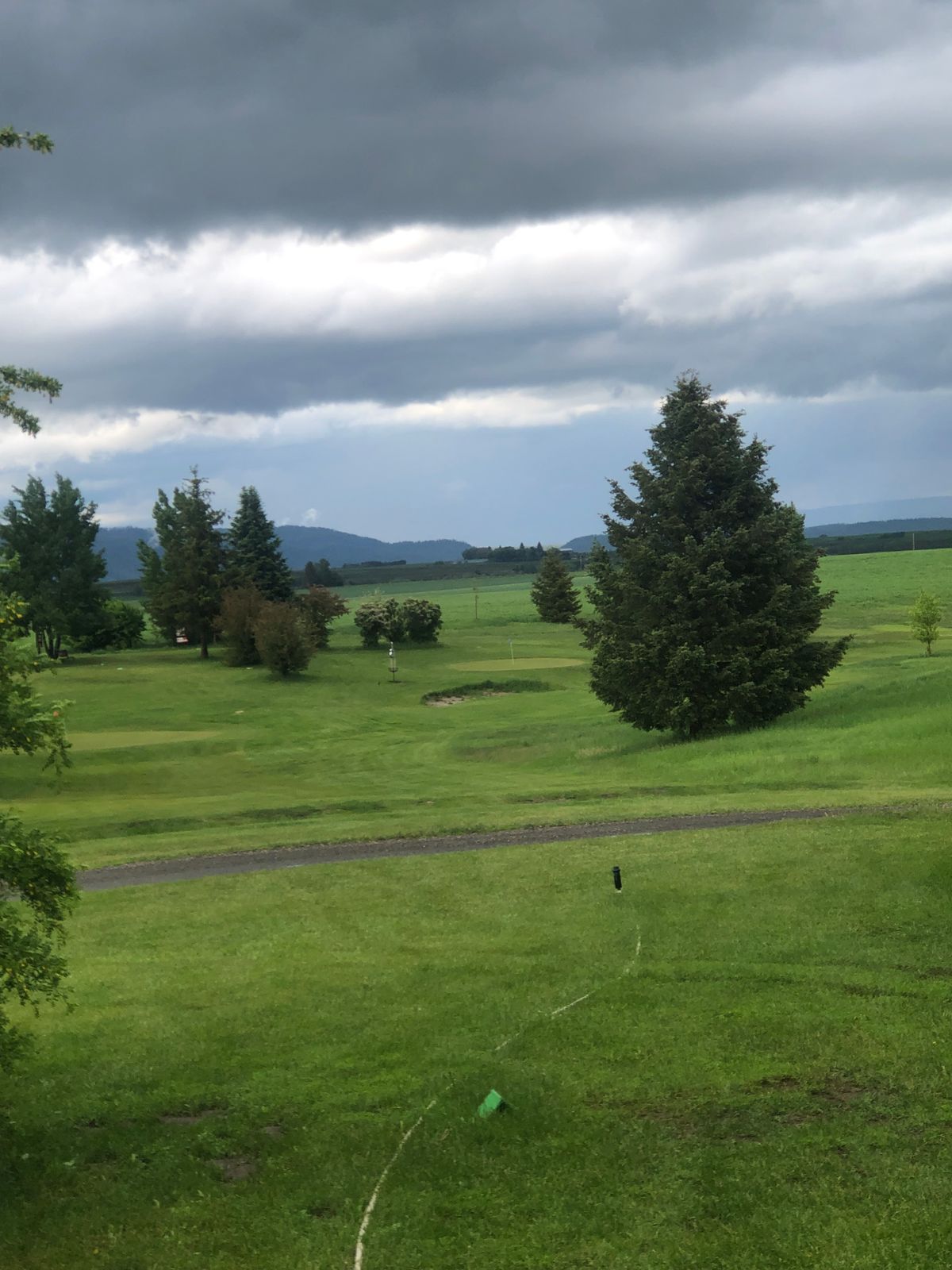Tee pad
