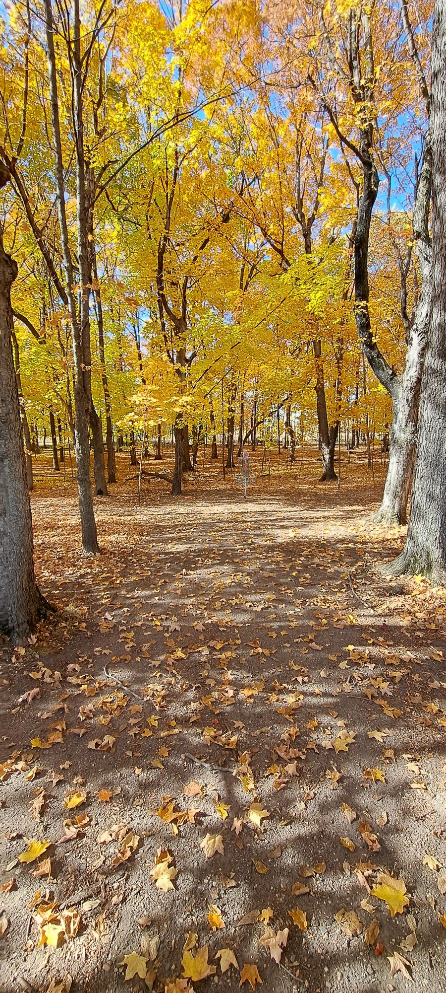 Hole 13 pin.