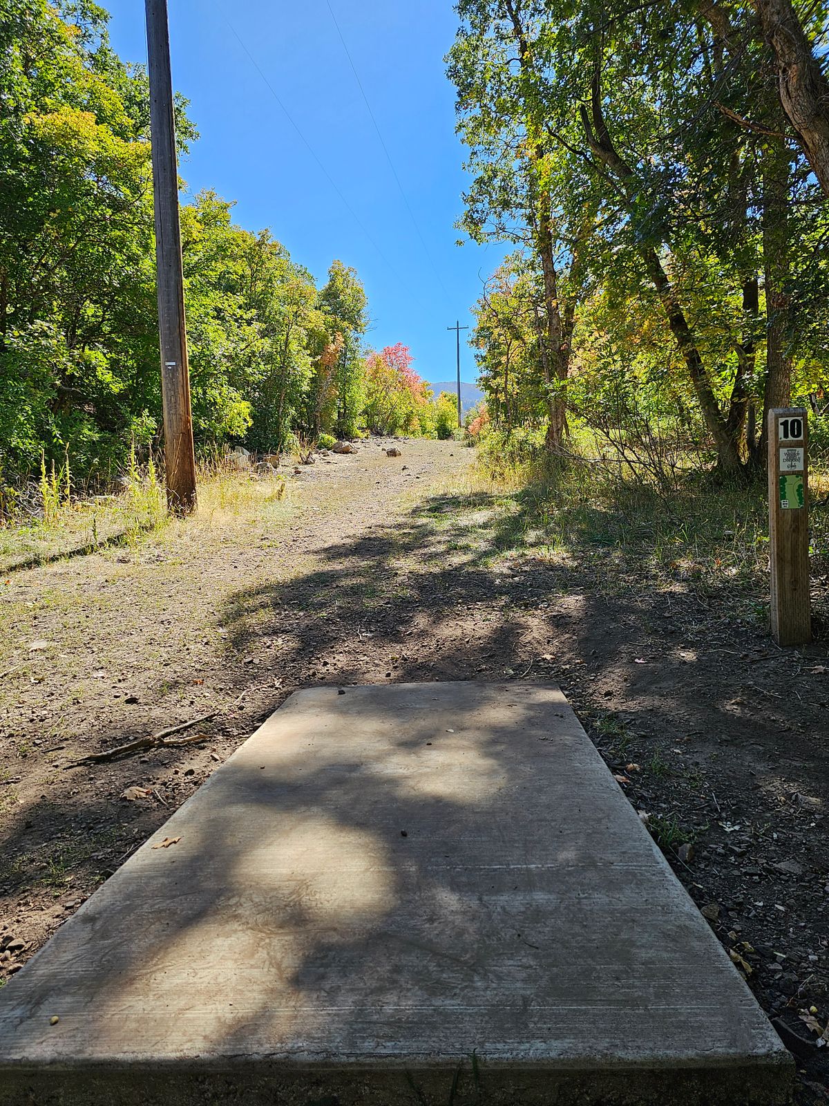 Tee Pad #10