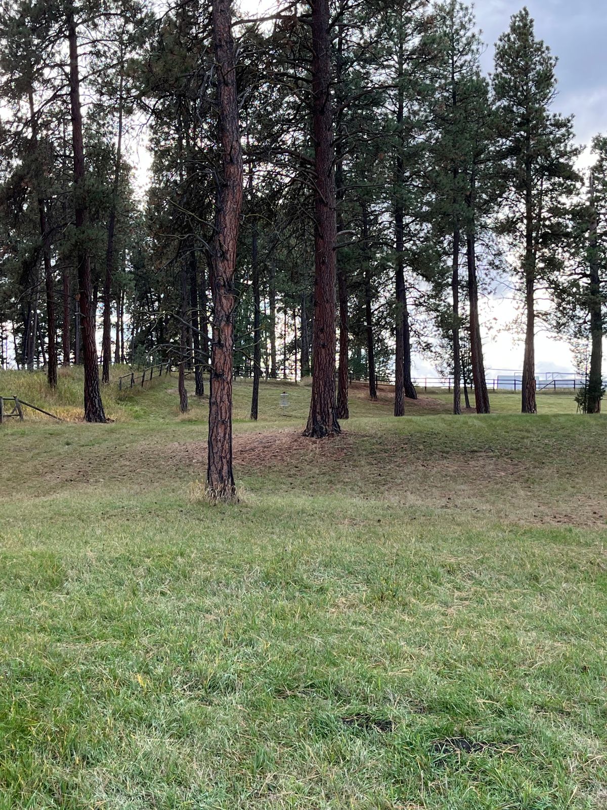 Hole 8