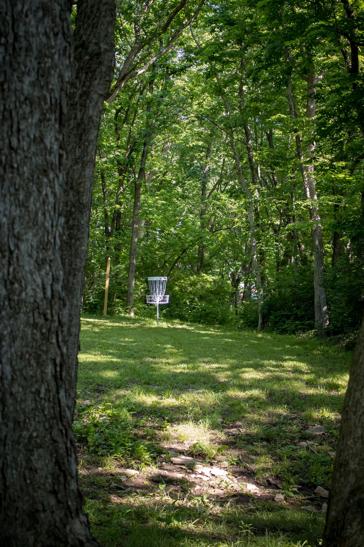 Hole 12 short