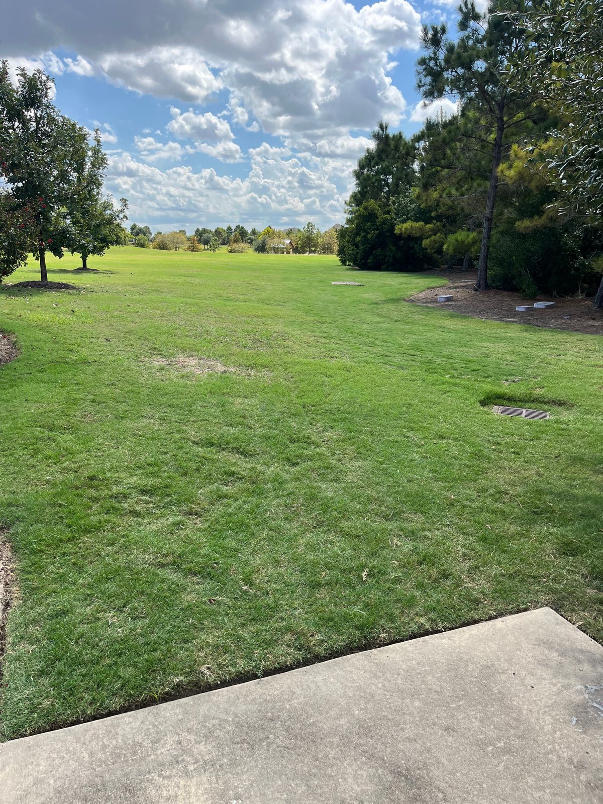 Hole #5 tee box is sidewalk by the bench. Tennis courts and dog park are OB.