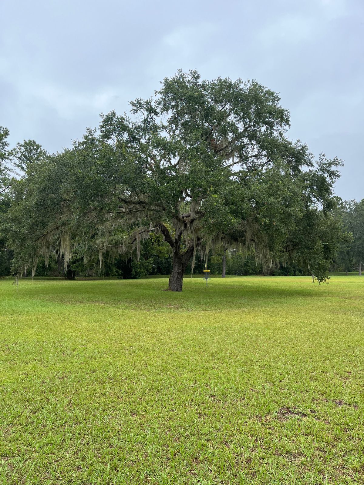 Hole 13