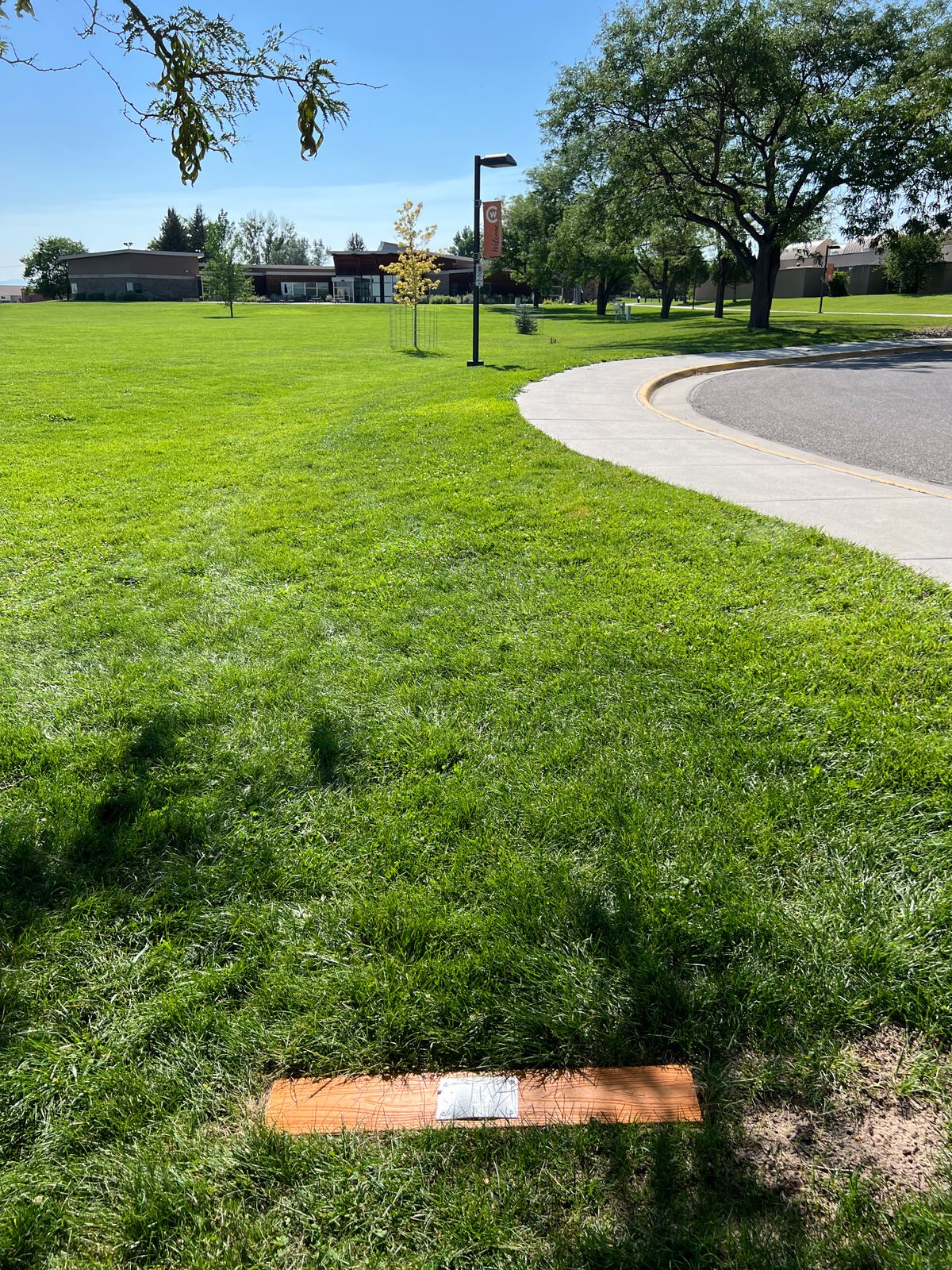 Hole 5 tee