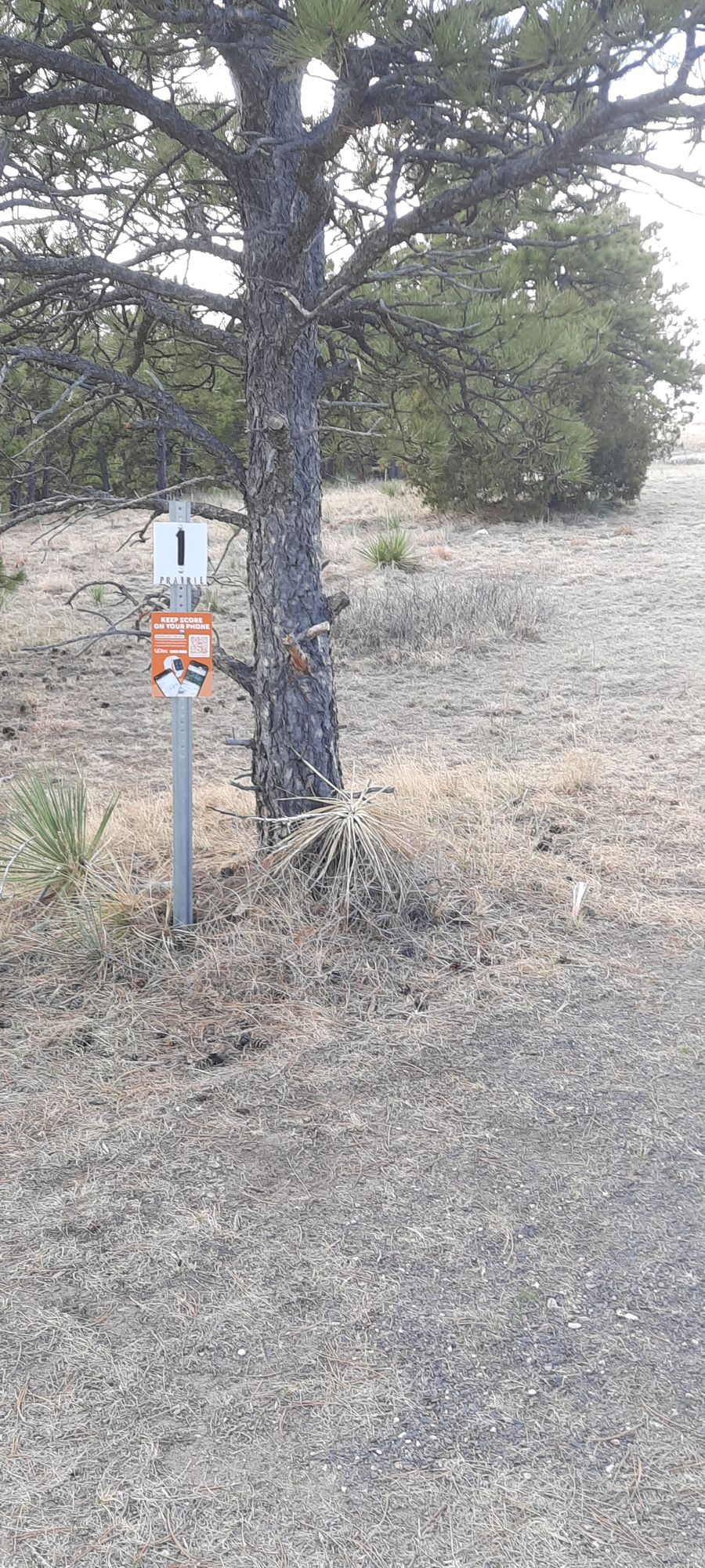 Hole 1 tee