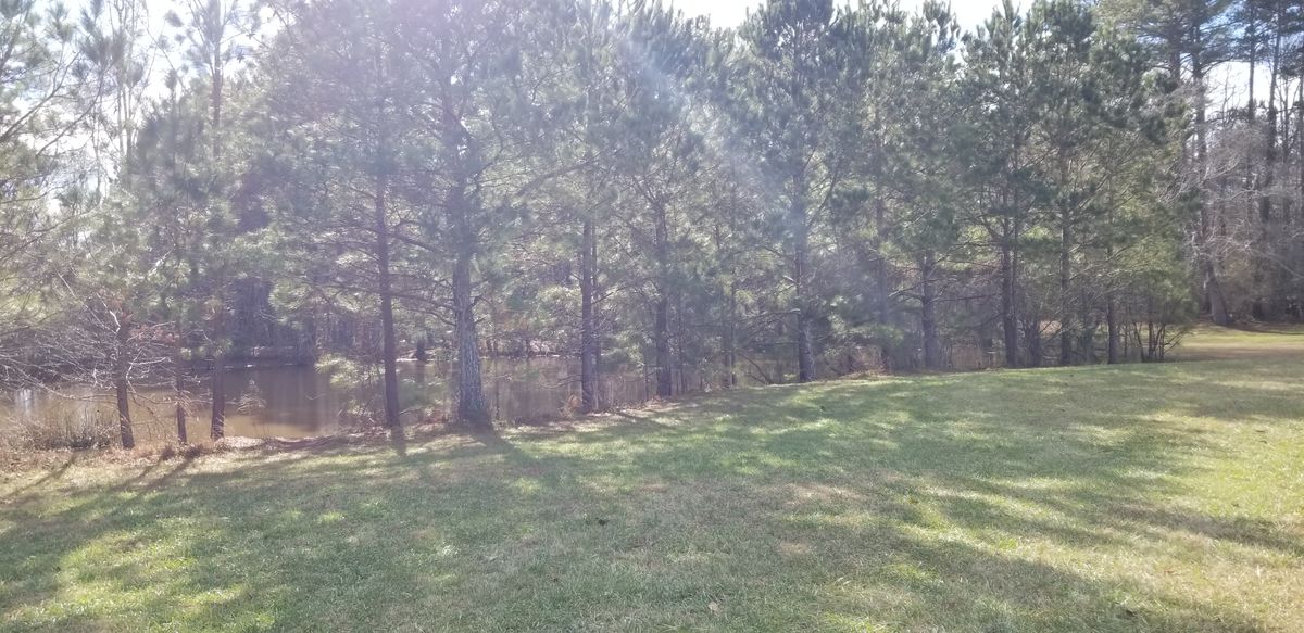 Hole 17 Pond