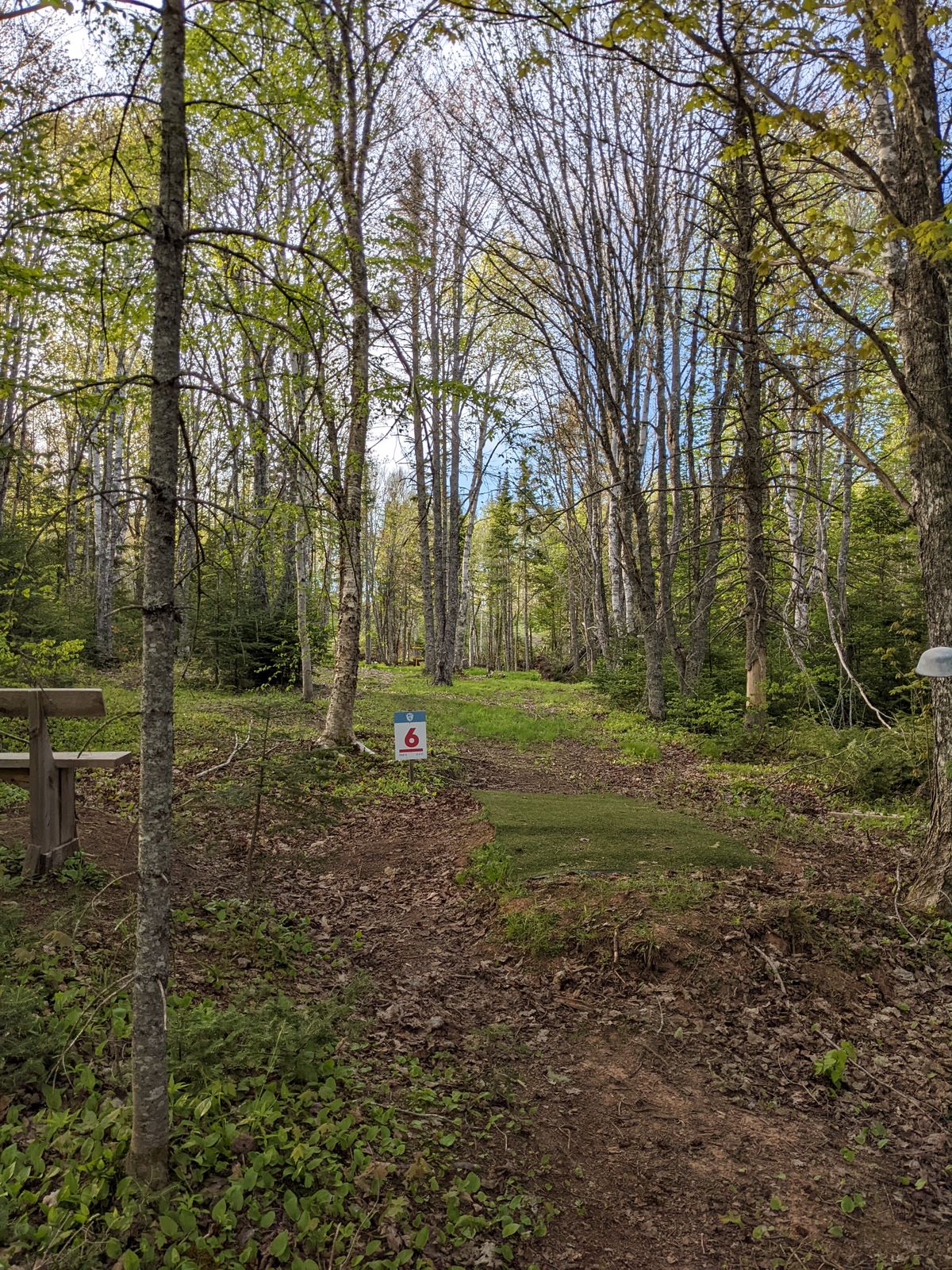 Hole 6
