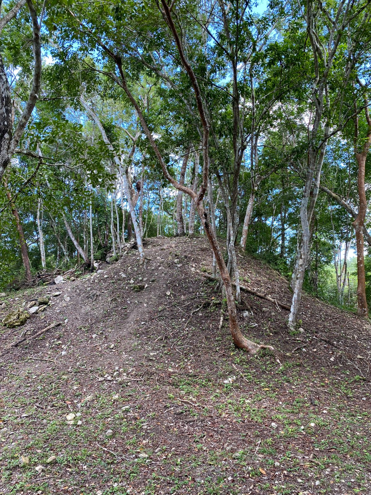 Basket on top of the unexcavated pyramid.