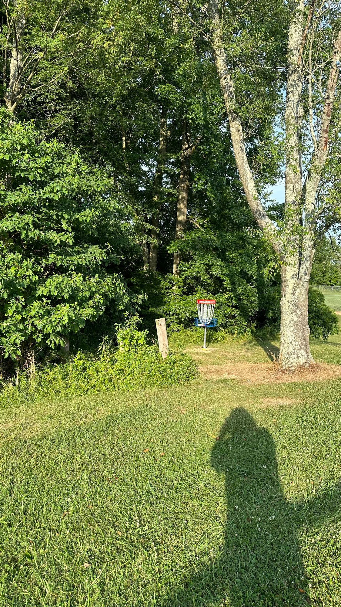 Basket Hole 1