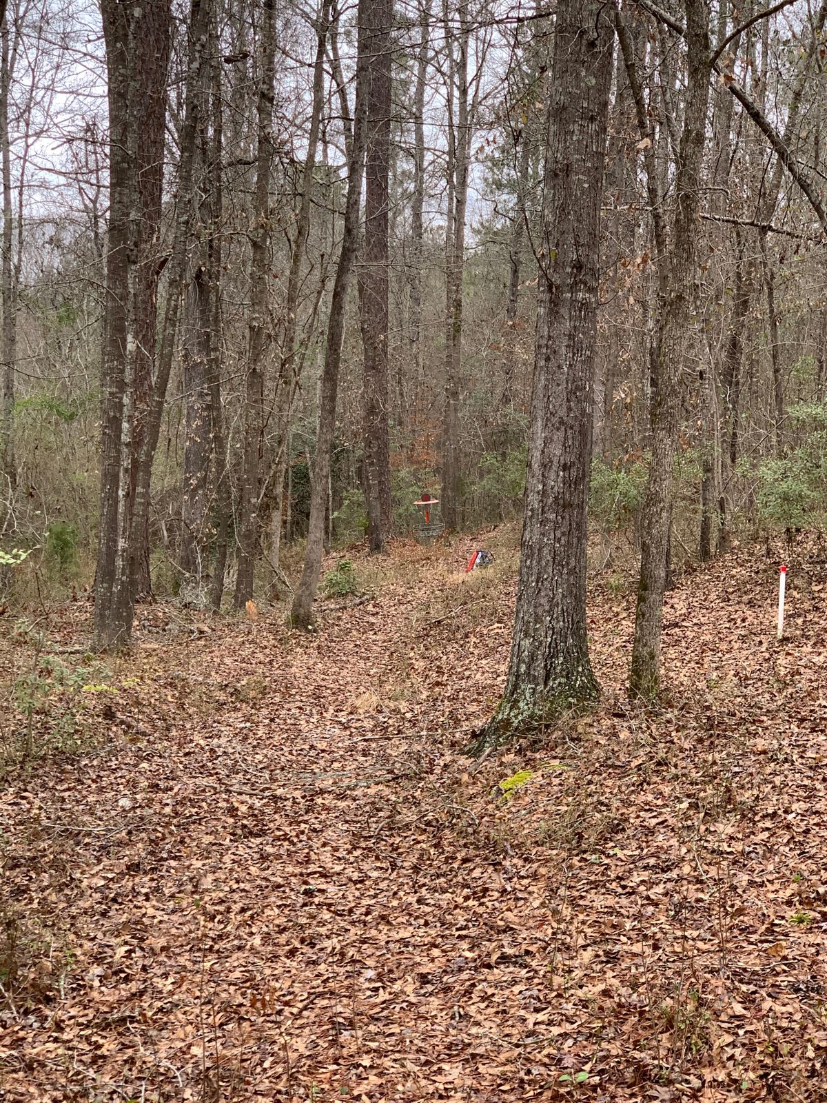 Watch for the small creek to the left of the pin.