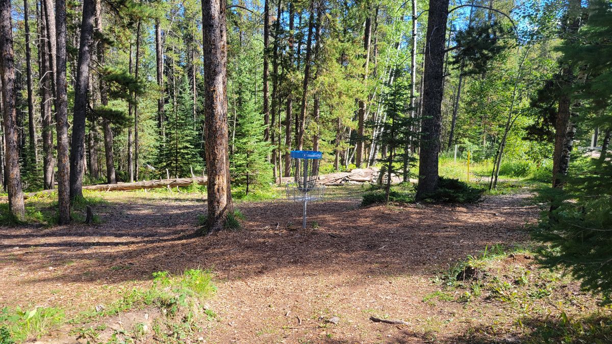 Hole 15 Basket and Green