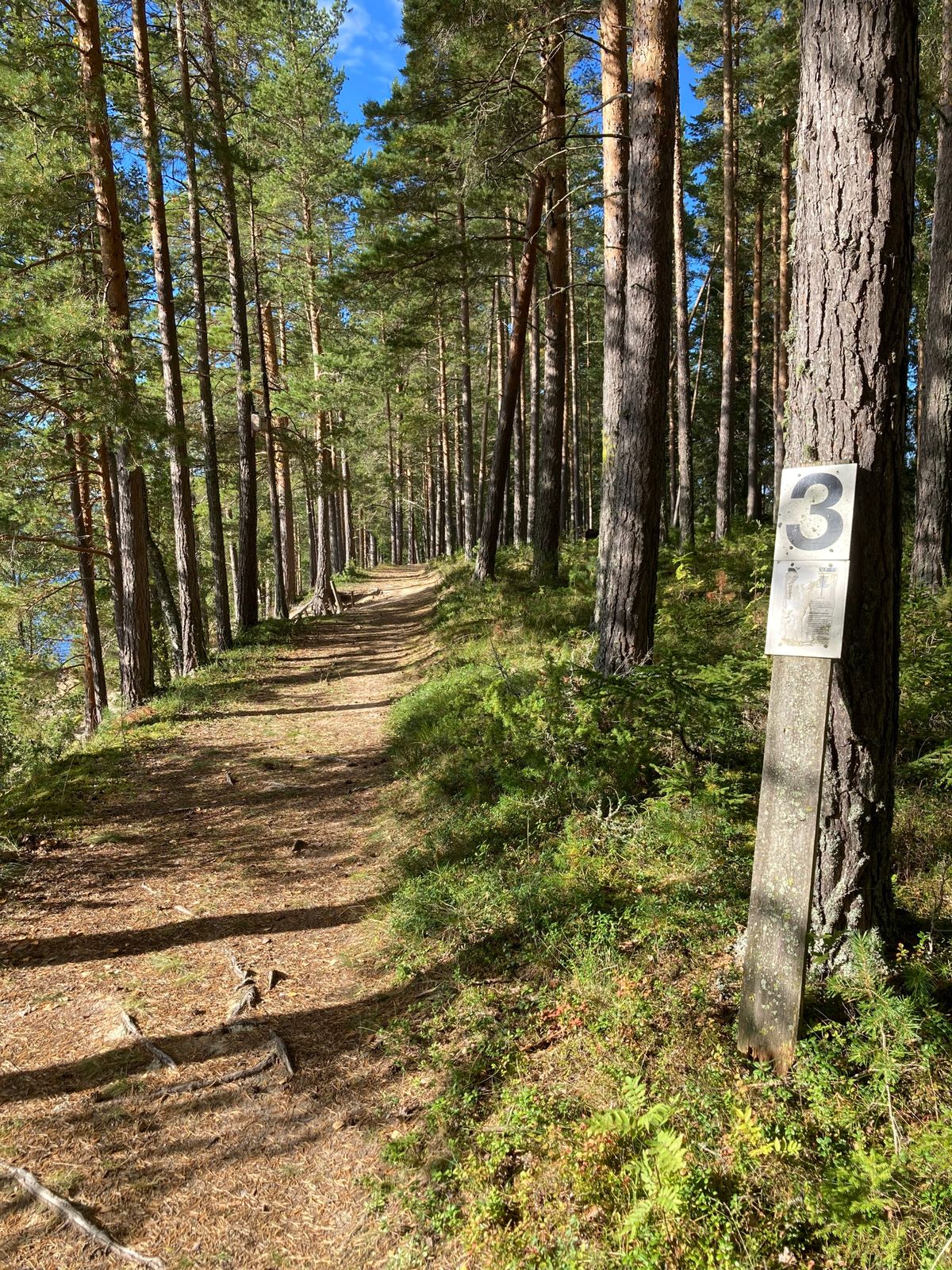 Tee 3 kasta lite till vänster om skylten