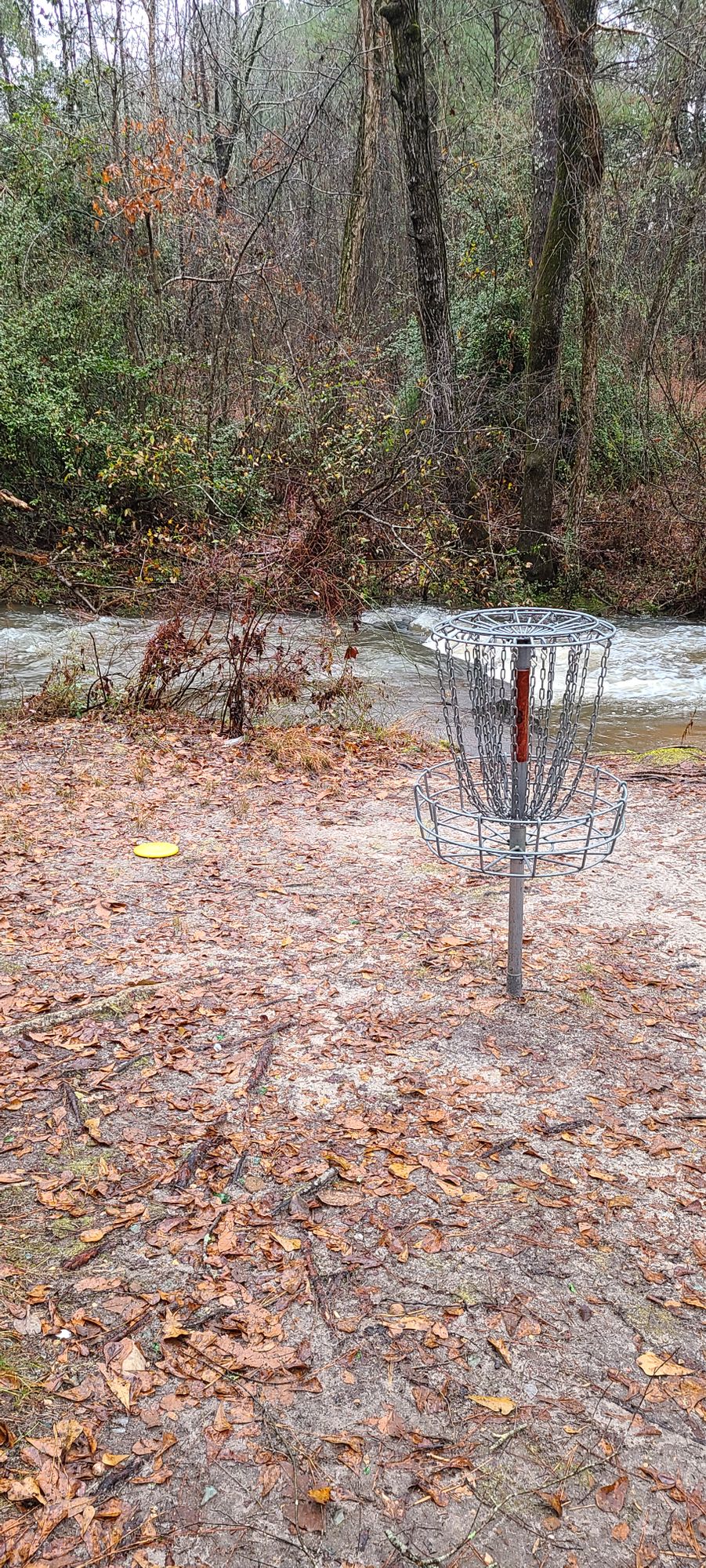 Hole #8