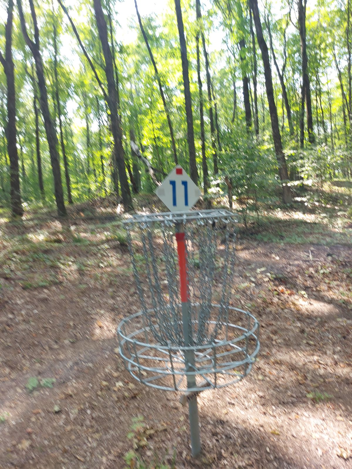Putting on hole 11.🪵🍃🪵🍃