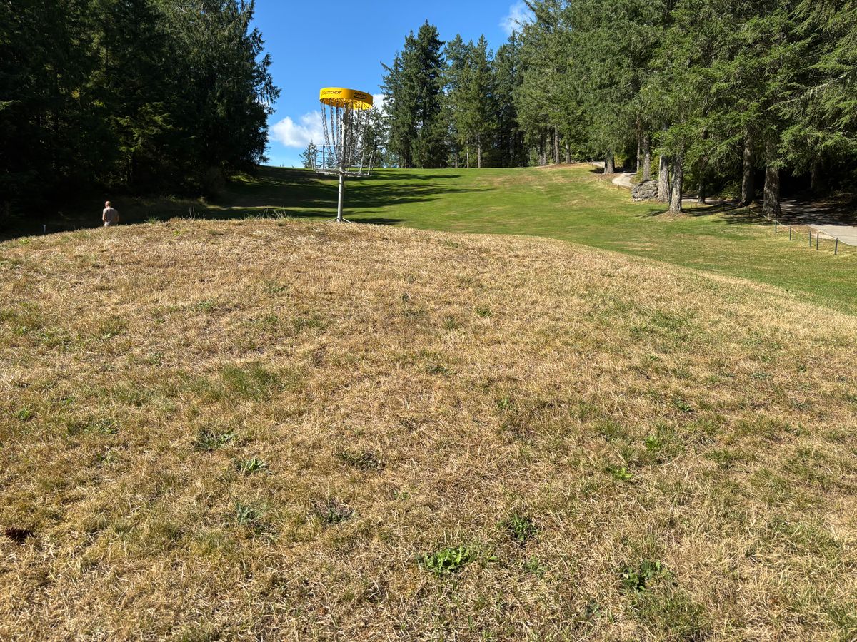Hole 5 basket looking back up to tee pad