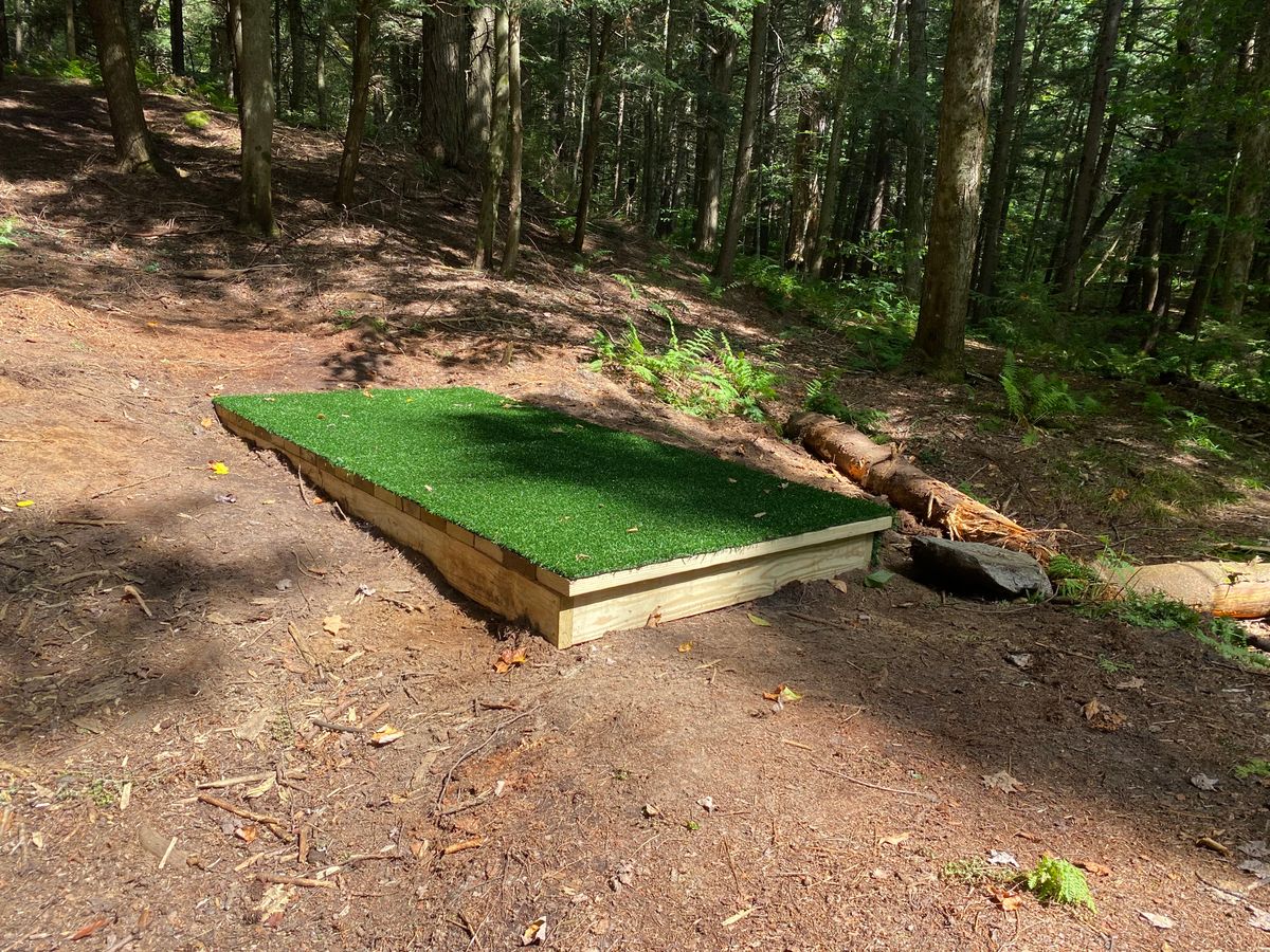 Tee 7