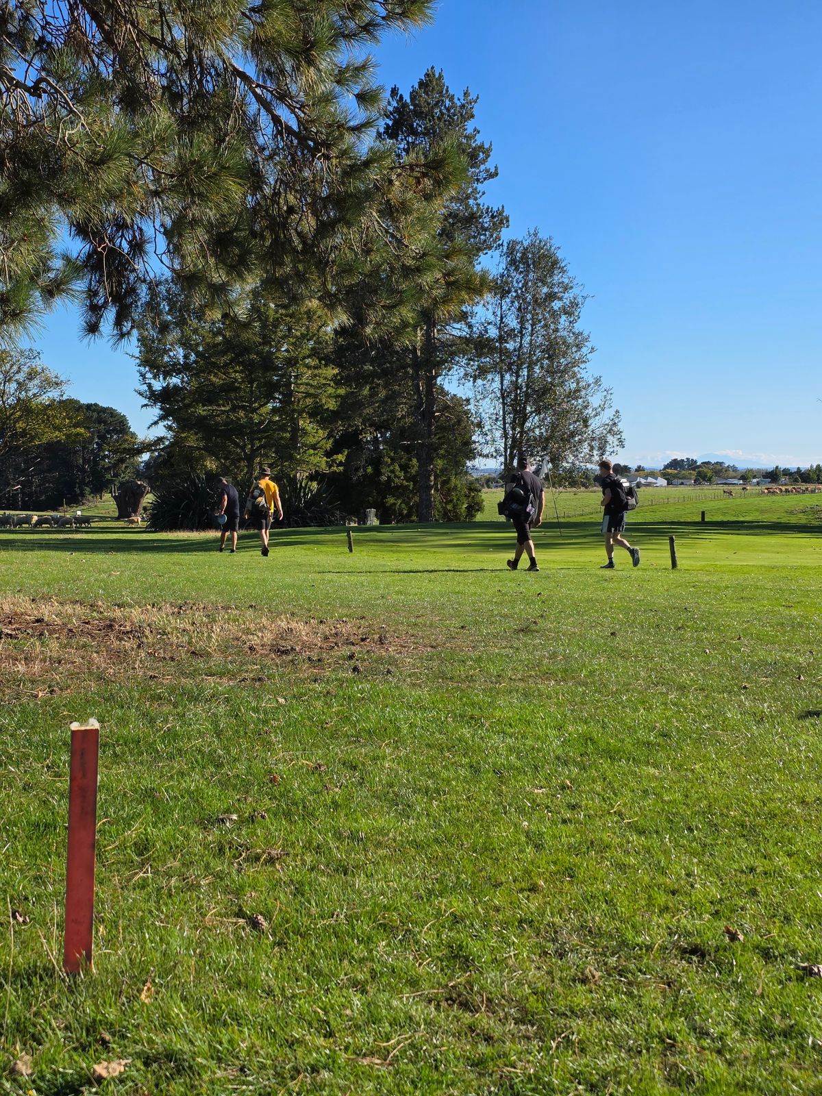 Few tree's to miss on the way into the green of #12