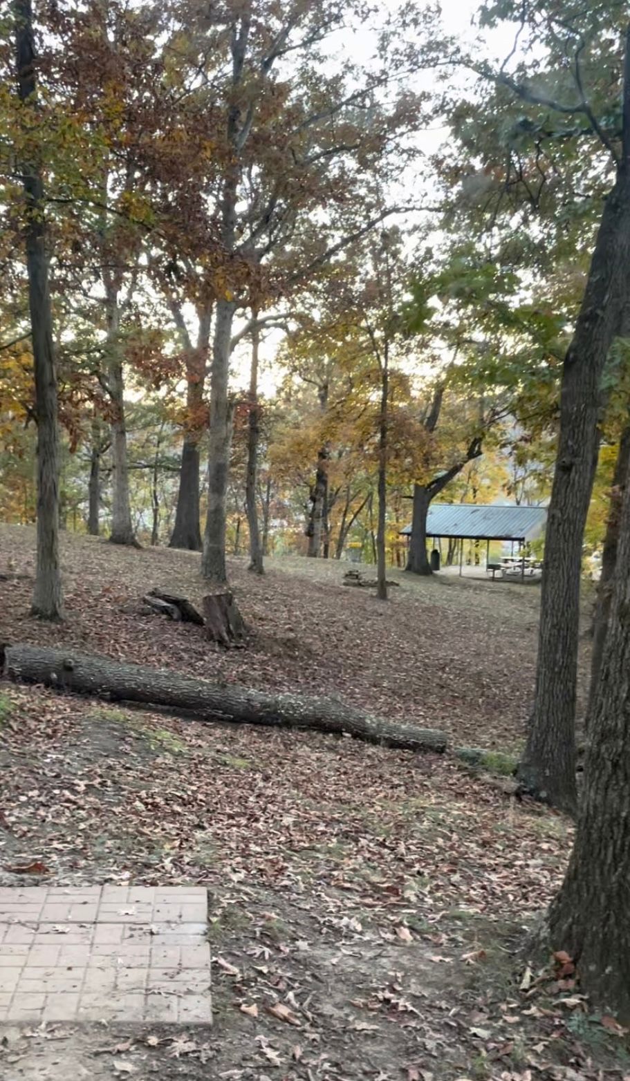 Hole 7