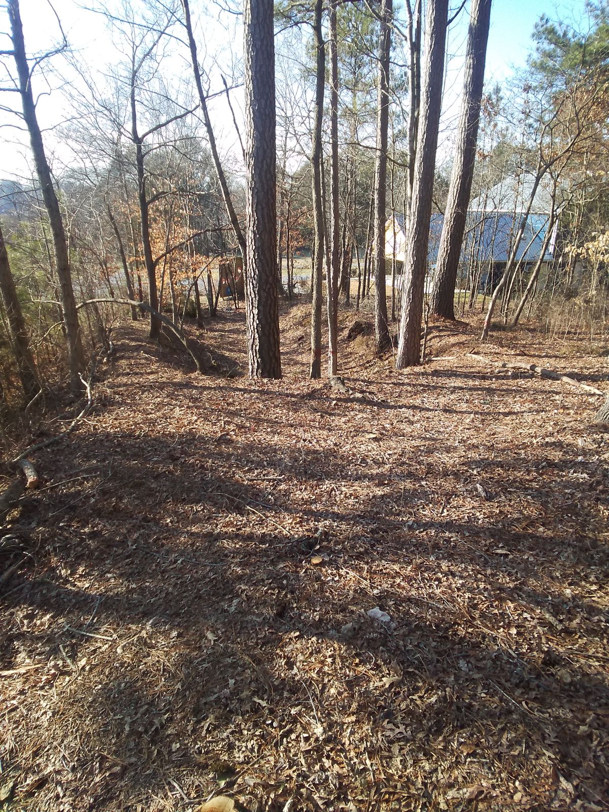 Hole 9 on top of the hill looking at the basket