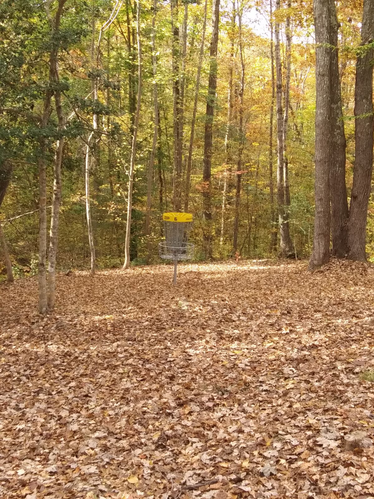 Hole 6 basket